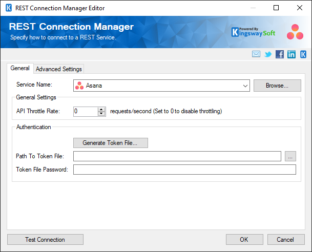 SSIS REST Asana Connection Manager